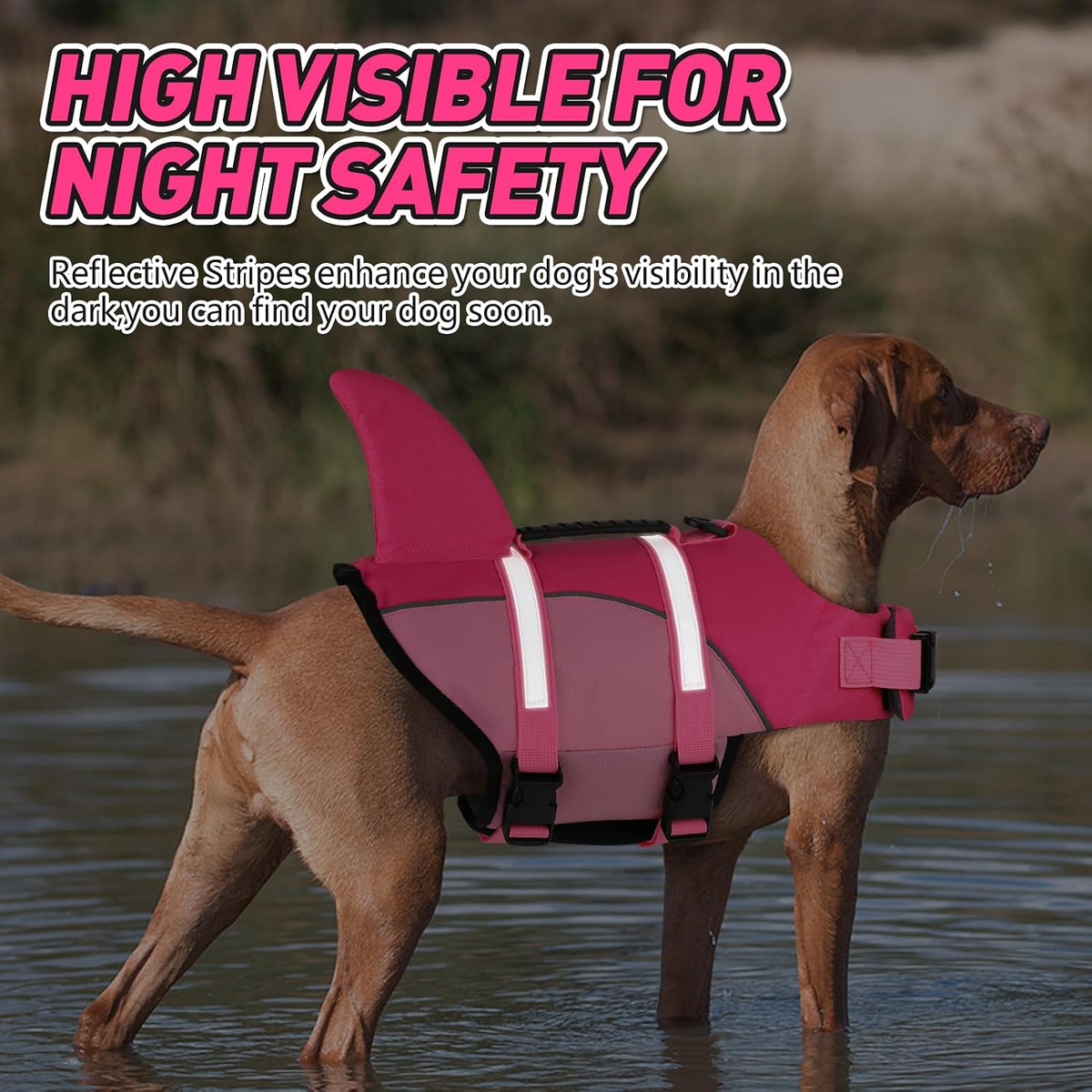 Ripstop Shark Dog Jacket with Superior Buoyancy and Rescue Handle, Adjustable Dog Vest for Swimming and Boating, Pet Flotation Vest for Small to Large Dogs